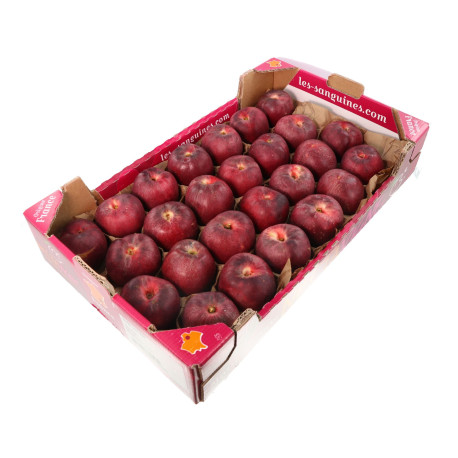 NECTARINE DE VIGNE KG